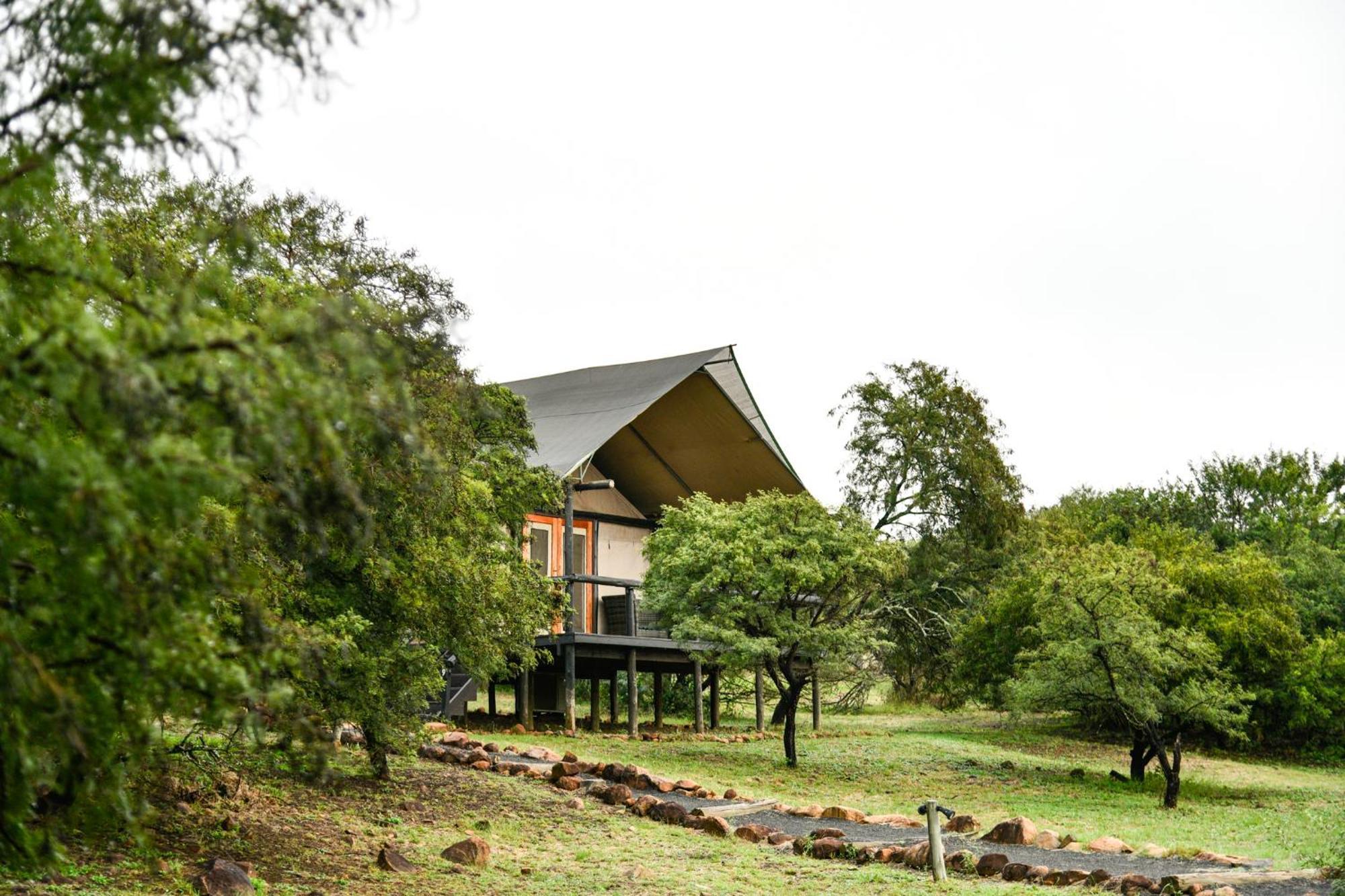 The Springbok Lodge Ladysmith Extérieur photo